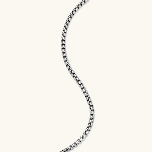 Silver stainless steel ankh pendant with skull motifs on vertical bar and textured ring top, on a box chain necklace.