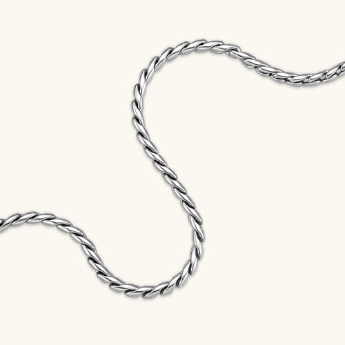 Men's 316L stainless steel twisted rope chain necklace, 560mm length, 3.9mm width, silver tone, screw clasp.