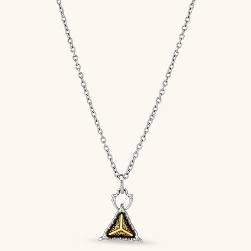 Silver cable-chain necklace with a black triangle pendant featuring gold all-seeing eye engraving and claw-tip frame, 316L stainless steel.