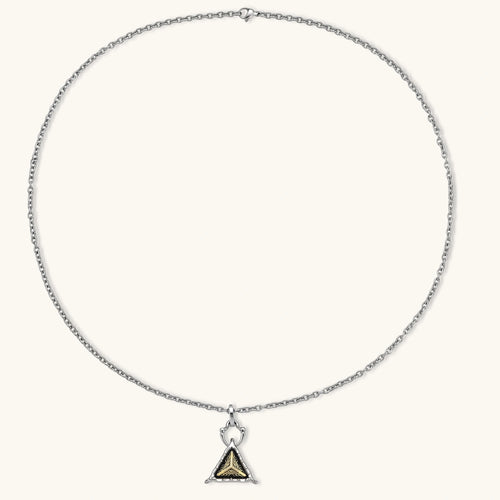 Silver cable-chain necklace with a black triangle pendant featuring gold all-seeing eye engraving and claw-tip frame, 316L stainless steel.